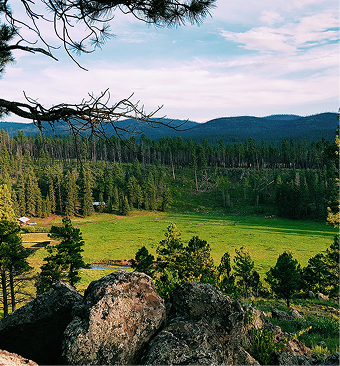 Home_Carousel_Temp_6